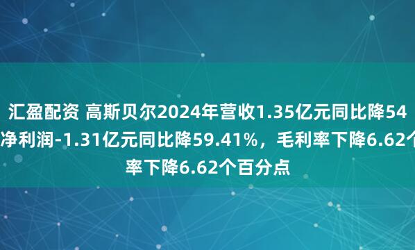 汇盈配资 高斯贝尔2024年营收1.35亿元同比降54.18%，净利润-1.31亿元同比降59.41%，毛利率下降6.62个百分点