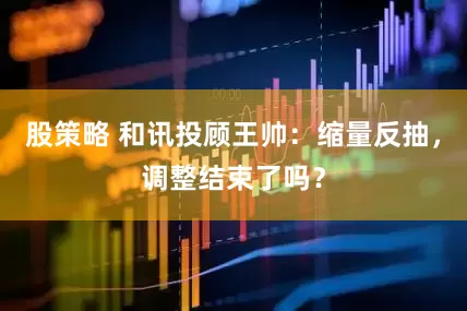 股策略 和讯投顾王帅：缩量反抽，调整结束了吗？